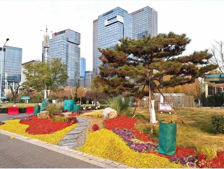 冬日里的五彩画卷 园林绿化废弃物变身景观新宠